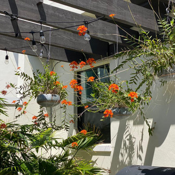 Courtyard Garden I