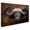 Mario Moreno 'A Buffalo Portrait' Canvas Art, 32 x 22