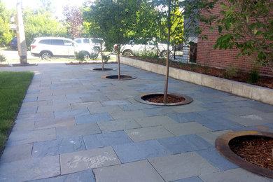 Design ideas for a contemporary landscaping in Other.