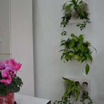 Crupop Pharmacy Design