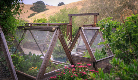 6 Ways to Keep Your Edible Garden Going Until Spring