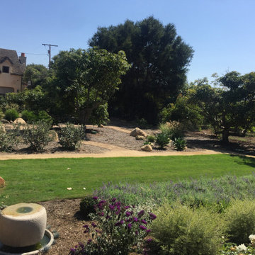 Drought tolerant lawn overlooking avocado orchard