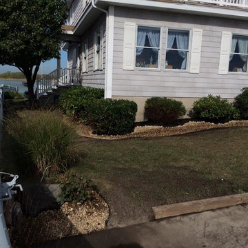 Garden 6