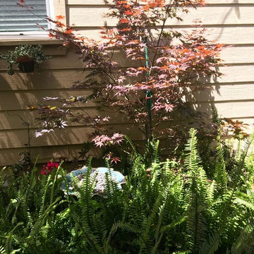 Willow Glen Driveway turns Lush