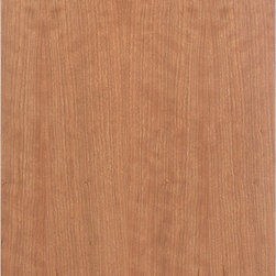 Contemporary Door Styles - Kitchen Cabinetry