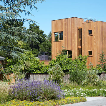 Low/Rise House