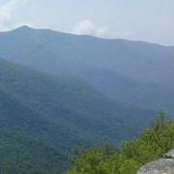 Diane Cantrell's photo