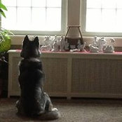 Melanie Traughber's photo