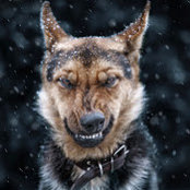 Туенко Андрей's photo