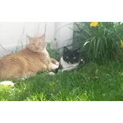 Keryn Engelhard's photo