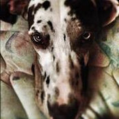 Foto di Ryan Gibbs