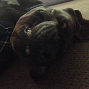 Graham Schwartz's photo