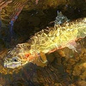 Tim Redmond's photo