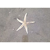 Peg Jones's photo