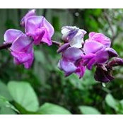 Catherine Barthman's photo