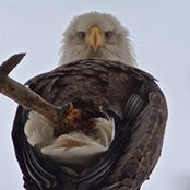 Jim Loder's photo