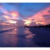 Matthew Gardner's photo