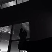 Amanda Adams's photo