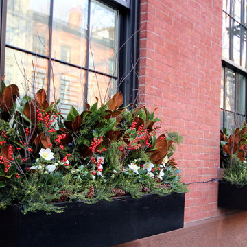 Christmas window boxes in Brooklyn