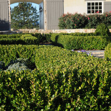 dkam's gardens