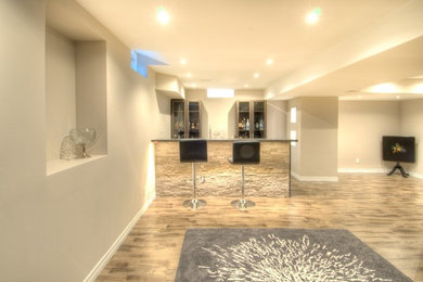 Inspiration for a transitional basement remodel in Toronto