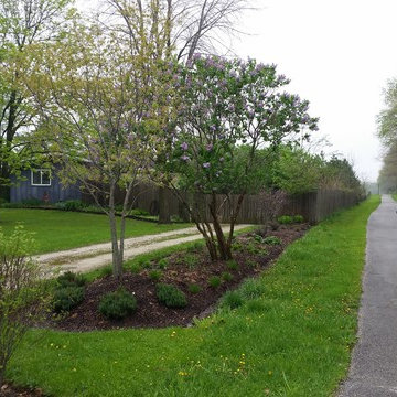 sycamore native driveway