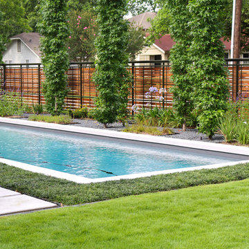 Modern Landscape Houston Heights