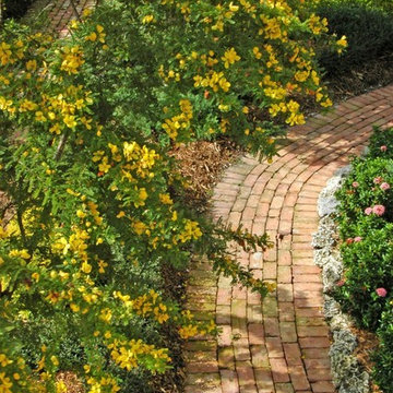 Miami Landscape Design Ideas
