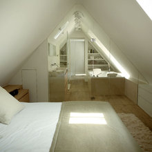 attic master