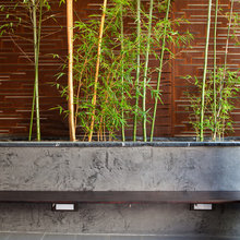 Planting