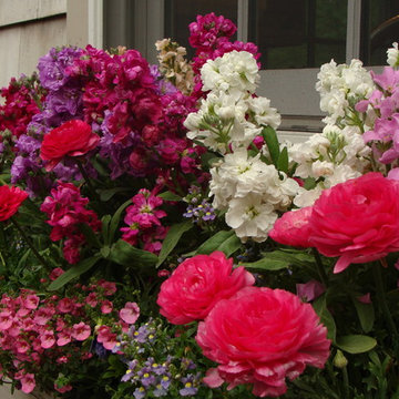 Fragrant Window Box