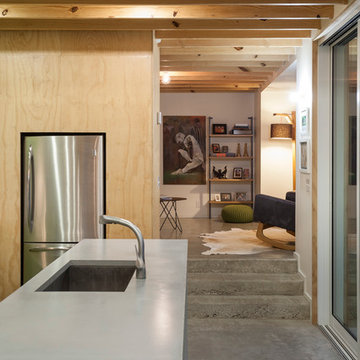 Faye and Walker Architecture: Pine House