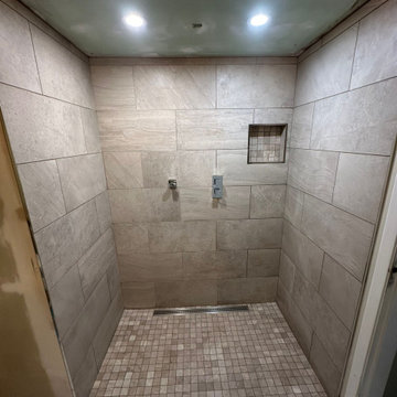 Tub to shower conversion with curb free entry