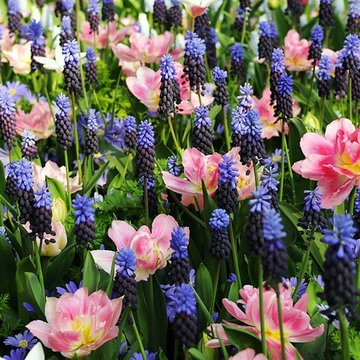 Spring Combination Ideas