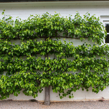The Morgan Landscape Group