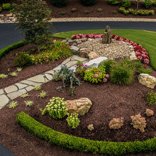 Judge’s Yard