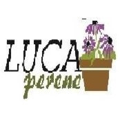 Luca Perenes foto