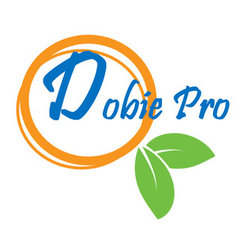 Dobie Pro Painting