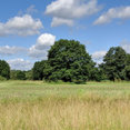 Unsworth Architects Ltd's profile photo