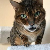 Kat Gagliano's photo
