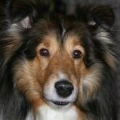 Lisa Smith-Smith's photo