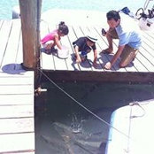 Marlo Martinez-Guerrero's photo