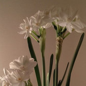 Petra Pakārkle's photo