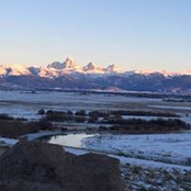 Robin Scheuerman's photo