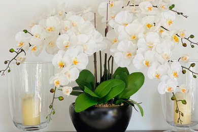 7 stem orchid