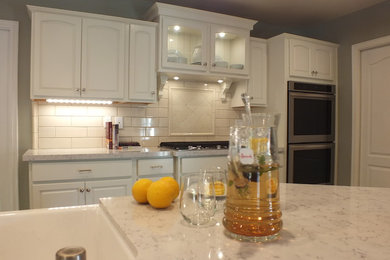 Inspiration for a transitional kitchen remodel in Los Angeles