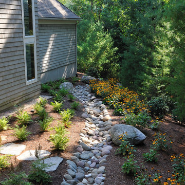 Backyard spaces