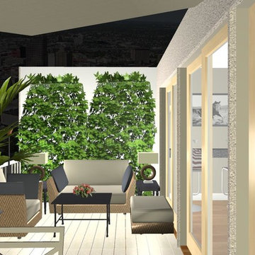 Ritz Penthouse Patio 3d Pics
