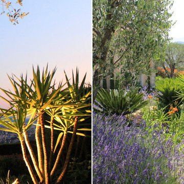 Architecte de Jardin Cannes | Contrasts et géométrie