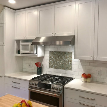 Ann Arbor Kitchen Remodel: Burns Park